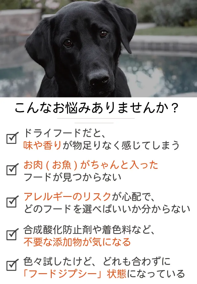 WOLF INSIGHT公式LPに掲載された、粒の大きさや原材料を確認する犬の飼い主向けの案内