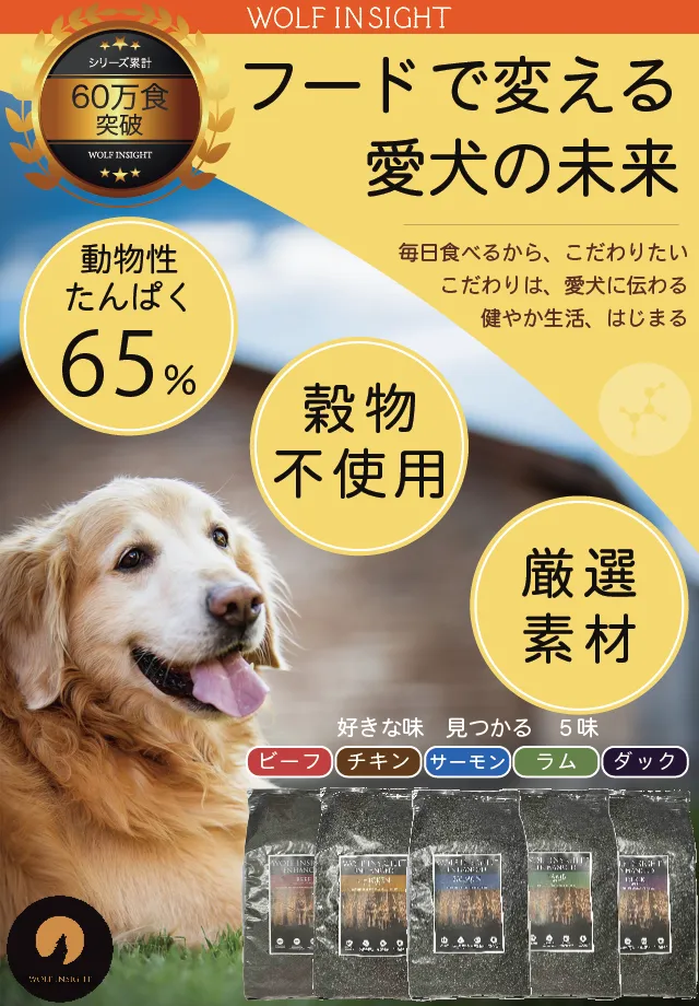 WOLF INSIGHTの公式商品画像